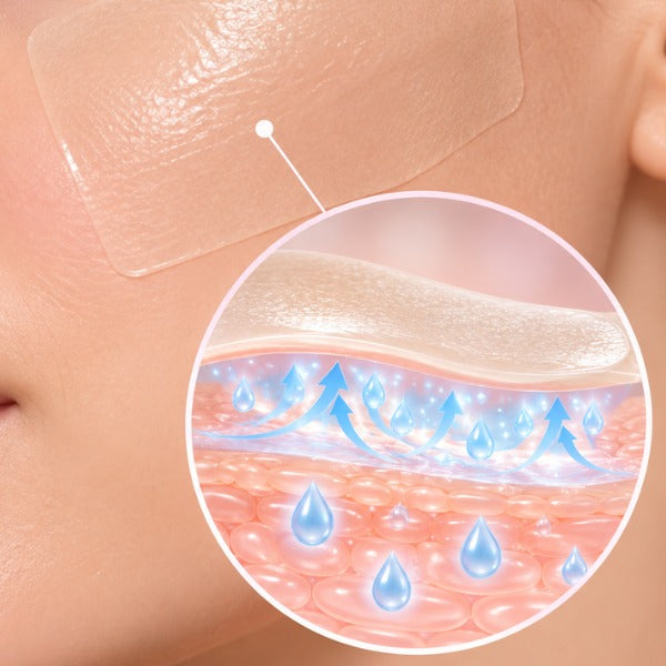 Creaselle cut-to-size collagen silicone sheets and product packaging